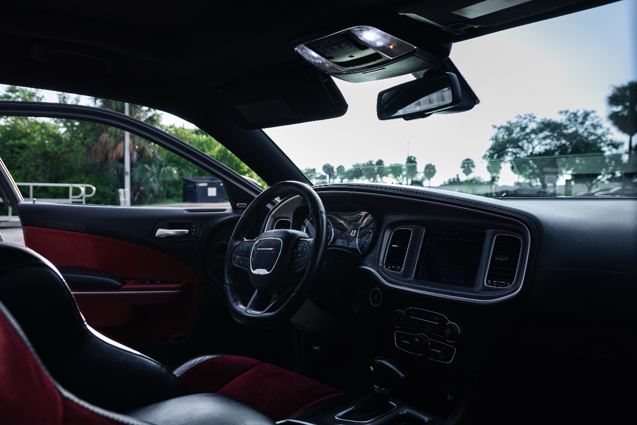 Car interior with a view of trees outside