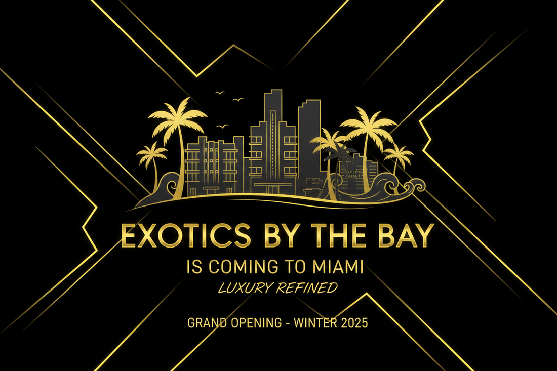 Unveiling Miami's Most Exclusive Exotic Car Rental Fleet by Exotics By the Bay
