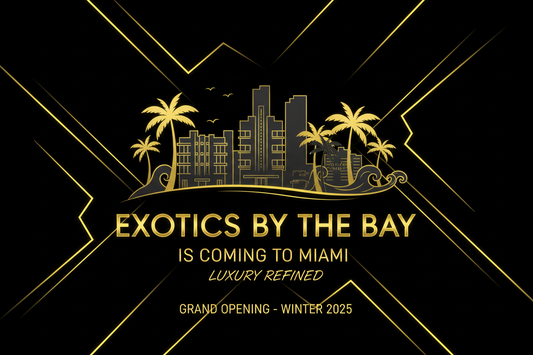 Unveiling Miami's Most Exclusive Exotic Car Rental Fleet by Exotics By the Bay