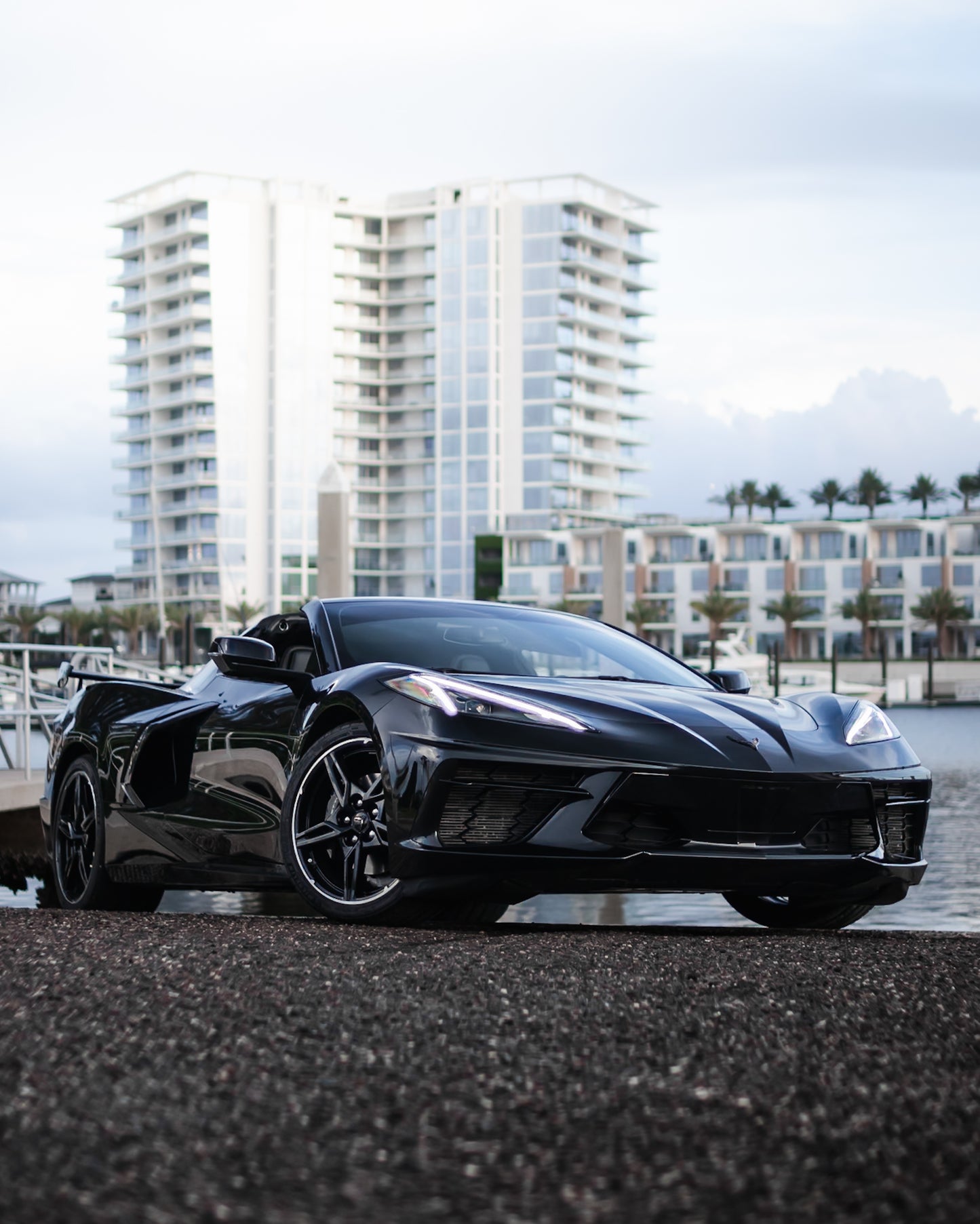 corvette rear view