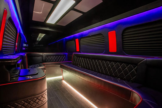 Luxury 10-Passenger Sprinter Van Interior - Image 1