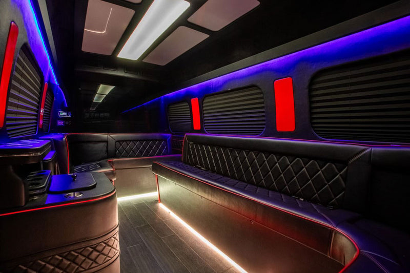 Luxury 10-Passenger Sprinter Van Interior - Image 1