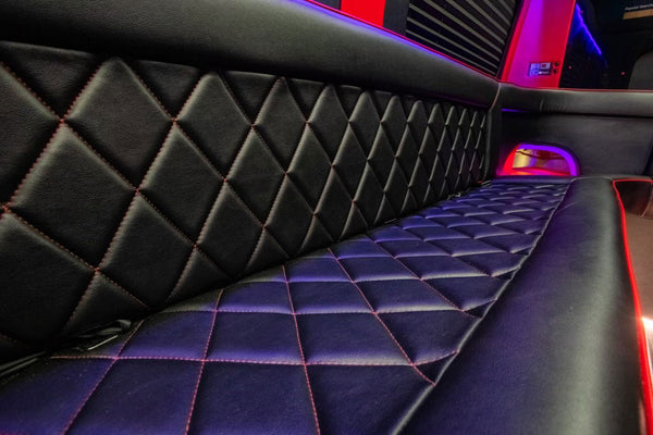 Luxury 10-Passenger Sprinter Van Interior - Image 3