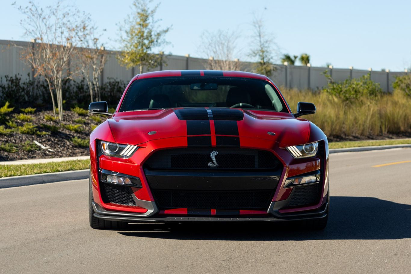 2020 SHELBY GT500  RENTAL TAMPA - front - red ford gt500