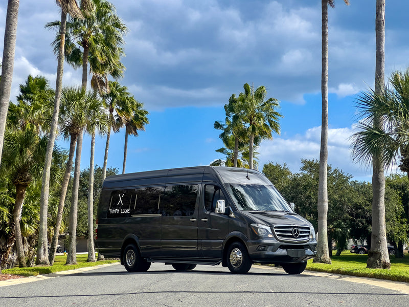 Sprinter with Maybach Interior Tampa | 15-Passenger Luxury Van ...